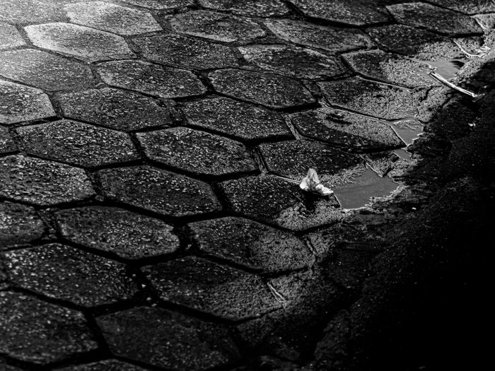 Veredas - fotografia digital (40x30cm) R$ 1.200,00